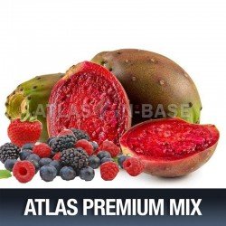 Atlas Mix Tropical Cactus - 10ml Mix Aroma